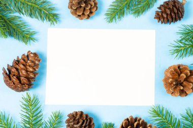 Çam kozalakları ve kopyalama alanı ile tatil arkaplanı