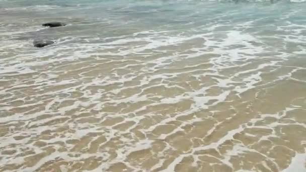 Ondas Mar Praia Arenosa — Vídeo de Stock