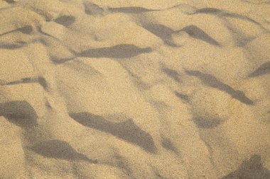 Kumsal kum dokusu yakın.