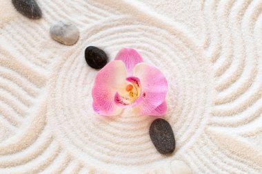 Beyaz kumlu, taşlı ve orkideli bir zen bahçesi.