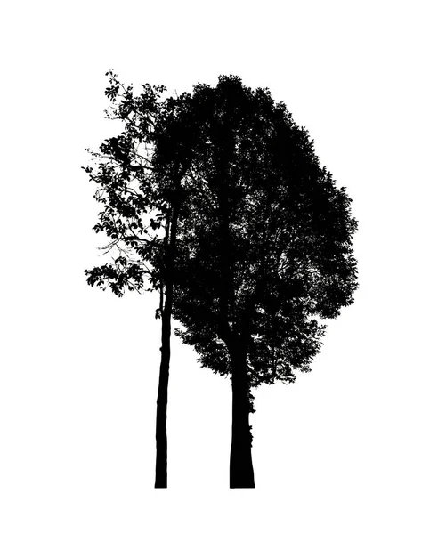 Beyaz Arkaplandaki Fırça Için Izole Ağaç Silueti — Stok fotoğraf