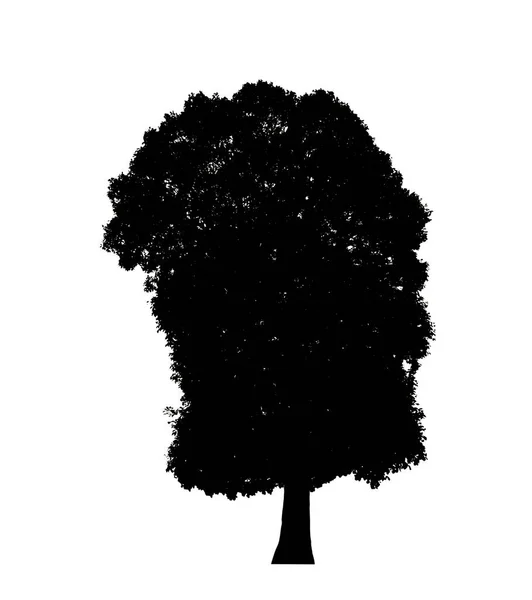 Isolierte Baumsilhouette Für Pinsel Auf Weißem Hintergrund — Stockfoto