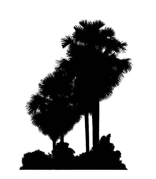 白色背景刷子用的糖棕榈轮廓 — 图库照片