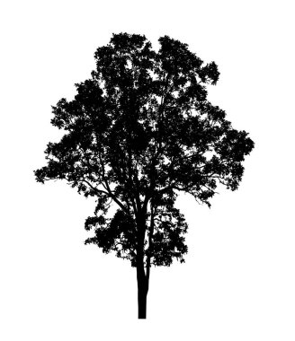 Beyaz arkaplanda fırça için ağaç silueti.