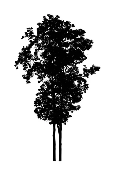 Silueta Stromu Pro Štětec Bílém Pozadí — Stock fotografie