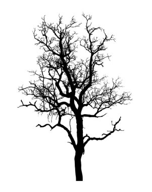 Beyaz arkaplanda fırça için ağaç silueti