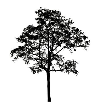 Beyaz arkaplanda fırça için ağaç silueti.