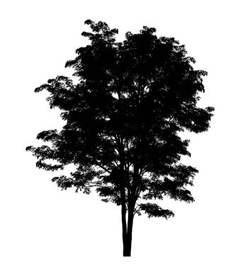 Beyaz arkaplanda fırça için ağaç silueti.