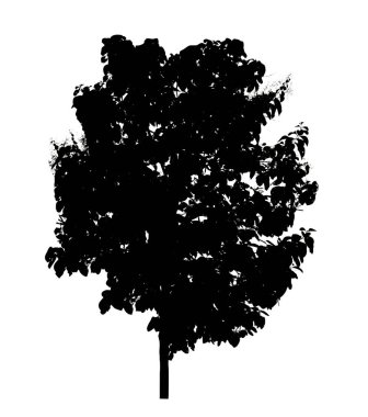 Beyaz arkaplanda fırça için ağaç silueti.