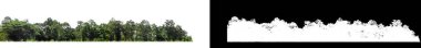 Green Trees isolated on white background.are Forest and foliage in summer for both printing and web pages with cut path and alpha channel on black background