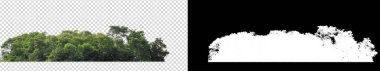 Şeffaf arkaplanda yeşil ağaçlar. Siyah arkaplanda kesim yolu ve alfa kanalı olan hem yazdırma hem de web sayfaları için yaz mevsiminde orman ve yeşilliktir