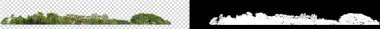 Şeffaf arkaplanda yeşil ağaçlar. Siyah arkaplanda kesim yolu ve alfa kanalı olan hem yazdırma hem de web sayfaları için yaz mevsiminde orman ve yeşilliktir