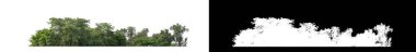 Yeşil ağaçlar beyaz arka planda izole edilmiş. Siyah arkaplanda kesim yolu ve alfa kanalı olan hem yazdırma hem de web sayfaları için yaz mevsiminde orman ve yeşilliktir