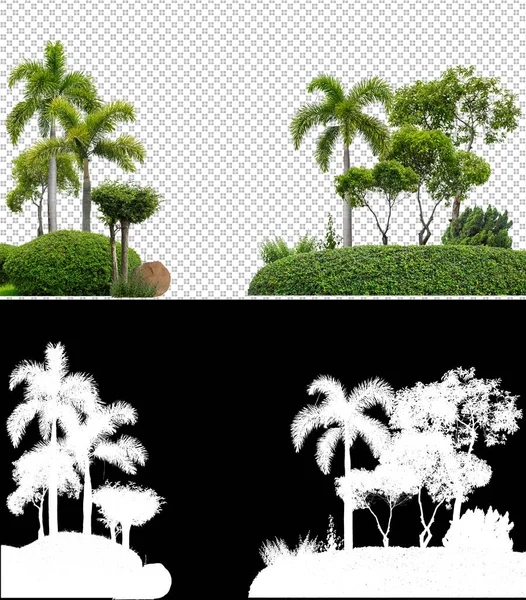 Colorful shrubs, ornamental plants, gardens or parks. isolated on transparent background with clipping path and alpha channel on black background