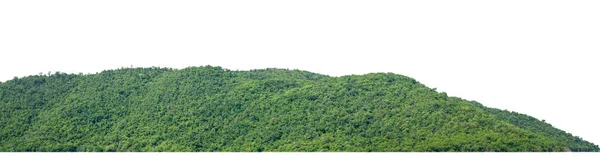 Felsigen Berghügel Mit Grünem Wald Isoliert Auf Weißem Hintergrund Mit — Stockfoto