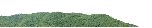 Felsigen Berghügel Mit Grünem Wald Isoliert Auf Weißem Hintergrund Mit — Stockfoto