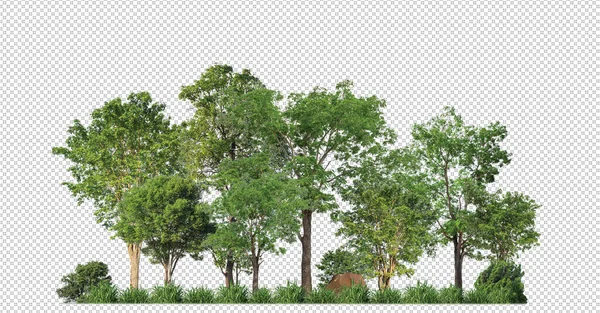透明背景の森と夏の葉の上に緑の木が切り取られた道と印刷物とウェブの両方に分離 — ストック写真