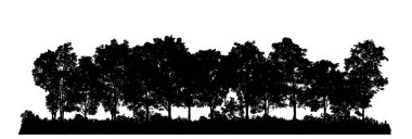 Kesişme ve alfa kanallı beyaz arka planda ıssız orman silueti