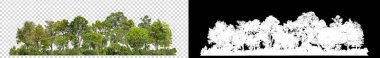 Yeşil Ağaçlar saydam arkaplanda izole edilmiştir. Yazın hem yazdırma hem de kesme yolu ve siyah arkaplanda alfa kanalı olan web sayfaları için orman ve yapraklardır.