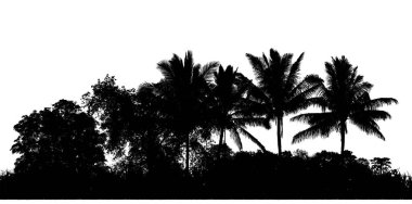 Kesişme ve alfa kanallı beyaz arka planda ıssız orman silueti