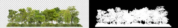 Зеленые Деревья Изолированные Прозрачном Фоне Лес Листва Летнее Время Печати — стоковое фото