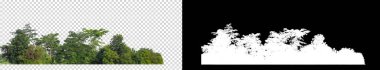 Şeffaf arkaplanda yeşil ağaçlar. Siyah arkaplanda kesim yolu ve alfa kanalı olan hem yazdırma hem de web sayfaları için yaz mevsiminde orman ve yeşilliktir