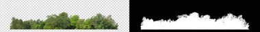Şeffaf arkaplanda yeşil ağaçlar. Siyah arkaplanda kesim yolu ve alfa kanalı olan hem yazdırma hem de web sayfaları için yaz mevsiminde orman ve yeşilliktir
