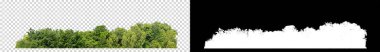 Şeffaf arkaplanda yeşil ağaçlar. Siyah arkaplanda kesim yolu ve alfa kanalı olan hem yazdırma hem de web sayfaları için yaz mevsiminde orman ve yeşilliktir