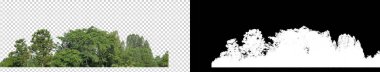 Şeffaf arkaplanda yeşil ağaçlar. Siyah arkaplanda kesim yolu ve alfa kanalı olan hem yazdırma hem de web sayfaları için yaz mevsiminde orman ve yeşilliktir