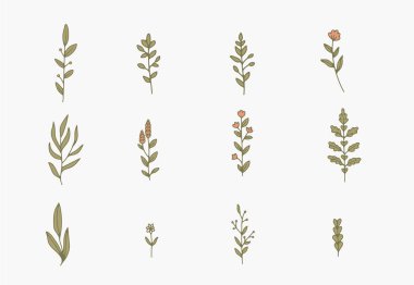 Beyaz arkaplanda çeşitli narin dallar, yapraklar ve sapların çizgi çizimi 