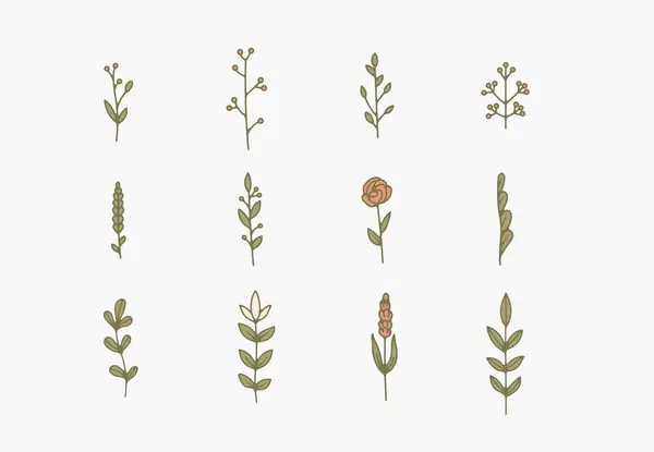 Uygulamalar veya web sayfaları için uygun, botanik simgelerin minimalist düz tasarım çizimi.