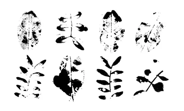 Sekiz adet soyut siyah beyaz yaprak baskısı ve pulu..