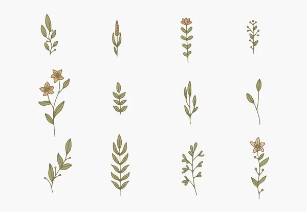 Çeşitli boyutlarda ve şekillerde resimli bitkiler, dallar ve çiçekler..