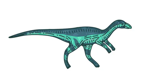 Uzun kuyruklu iki ayaklı bir dinozorun stilize ve renkli bir çizimi..