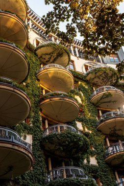 Polonya 'da şafak söküyor sonbaharda