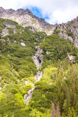 Yaz günü Polonya 'da doğa ve Tatra dağları