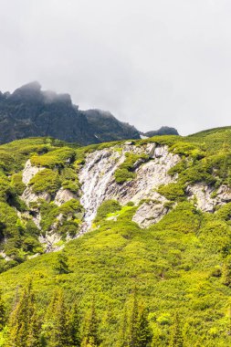 Yaz günü Polonya 'da doğa ve Tatra dağları