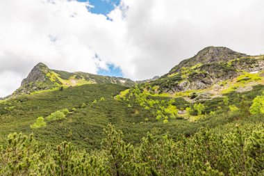 Yaz günü Polonya 'da doğa ve Tatra dağları