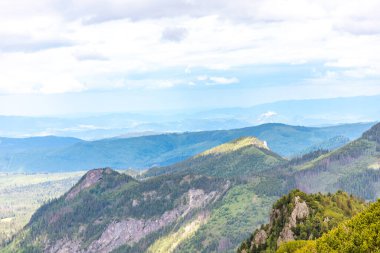 Yaz günü Polonya 'da doğa ve Tatra dağları