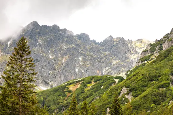 Yaz günü Polonya 'da doğa ve Tatra dağları