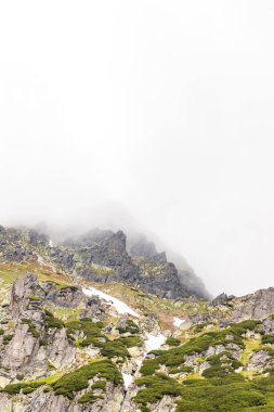Yaz günü Polonya 'da doğa ve Tatra dağları