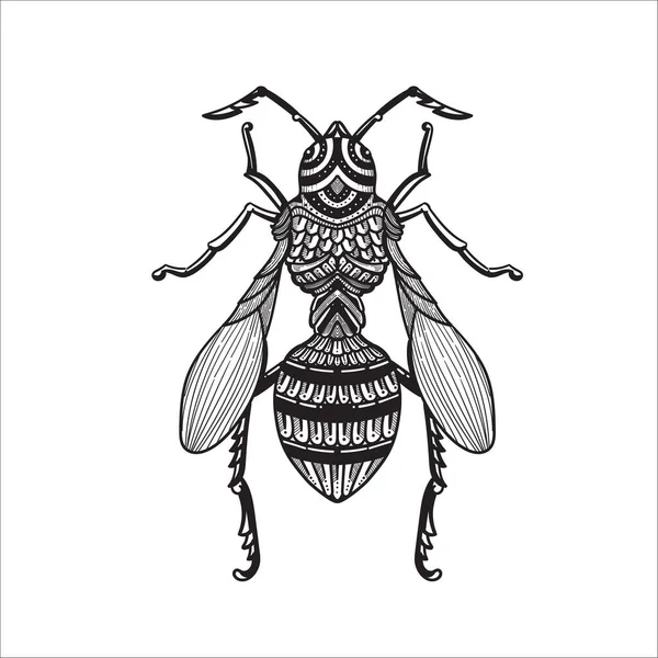 Mano Dibujado Dragonfly Escarabajo Garabato Vector Ilustración — Vector de stock