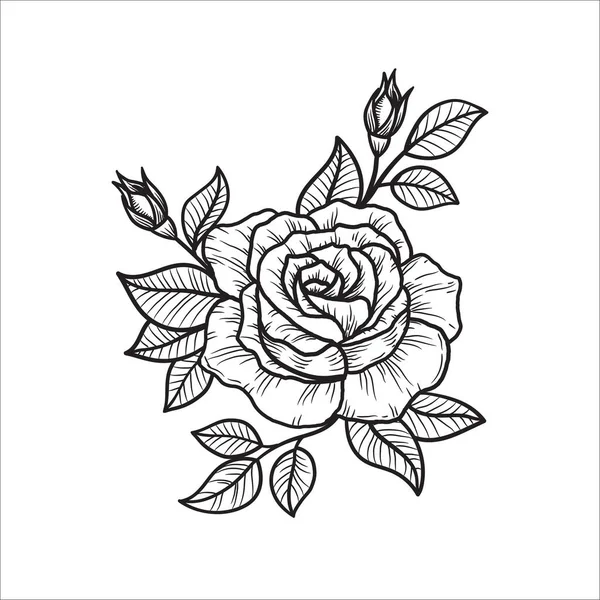 Ροζ Λουλούδι Χέρι Σχέδιο Διάνυσμα Σκίτσο Λευκό Φόντο — Διανυσματικό Αρχείο