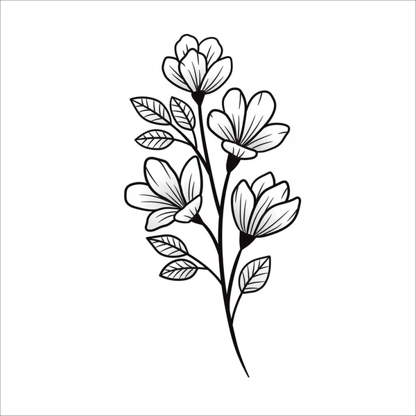 Gałąź Sampaguita Kwiat Ręcznie Rysowane Wektor Ilustracja — Wektor stockowy