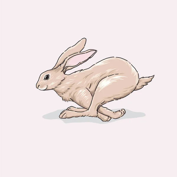 Mão Desenhada Correndo Cute Rabbit Ilustração Estilo Desenhado Mão Vetor — Vetor de Stock