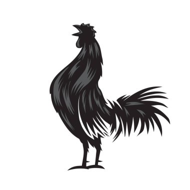 Rooster silhouette vector, poultry chickens roosters vector