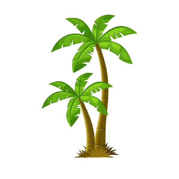 Prachtige Kokosnoot Palmboom Cartoon Stijl Vector Kunst Illustratie — Stockvector