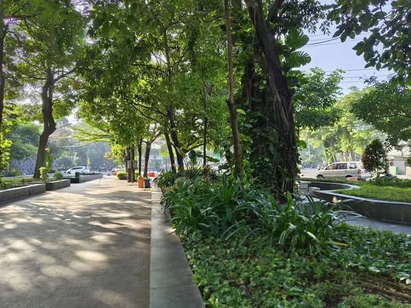 Yeşil ağaçları ve yazın serin havası olan gölgeli bir açık hava parkı dinlenmek için uygun bir yerdir..