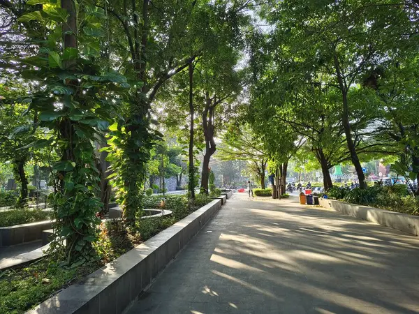 Yeşil ağaçları ve yazın serin havası olan gölgeli bir açık hava parkı dinlenmek için uygun bir yerdir..