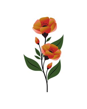 Ev dekorasyonu için çiçek posteri. Düz botanik illüstrasyon, El Çizimi Bahar Çiçekleri Vektör Koleksiyonu, Bahar ve Yaz Çiçeği Dekorasyonları